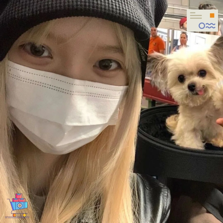 雨后